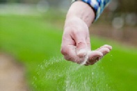 Recommended Sheffield Lawn Treatments